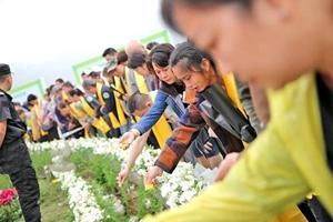 公益花坛葬活动现场 公益花坛葬活动现场